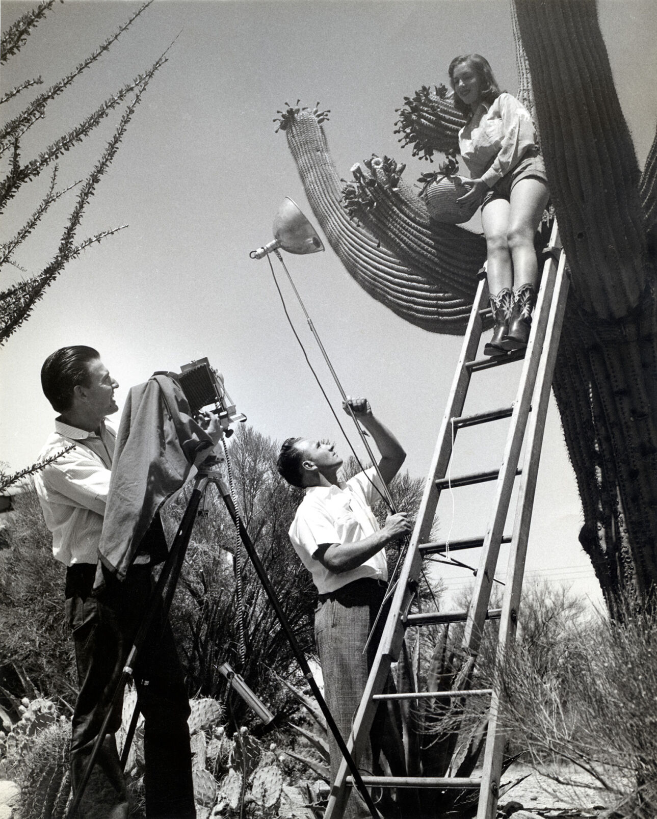 Tucson Sunshine Climate, 1954